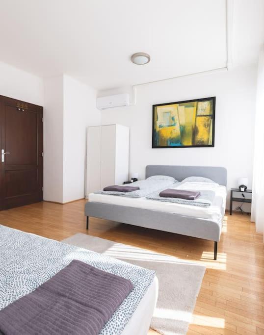 Appartamento Bright Downtown Balcony Retreat Budapest Esterno foto
